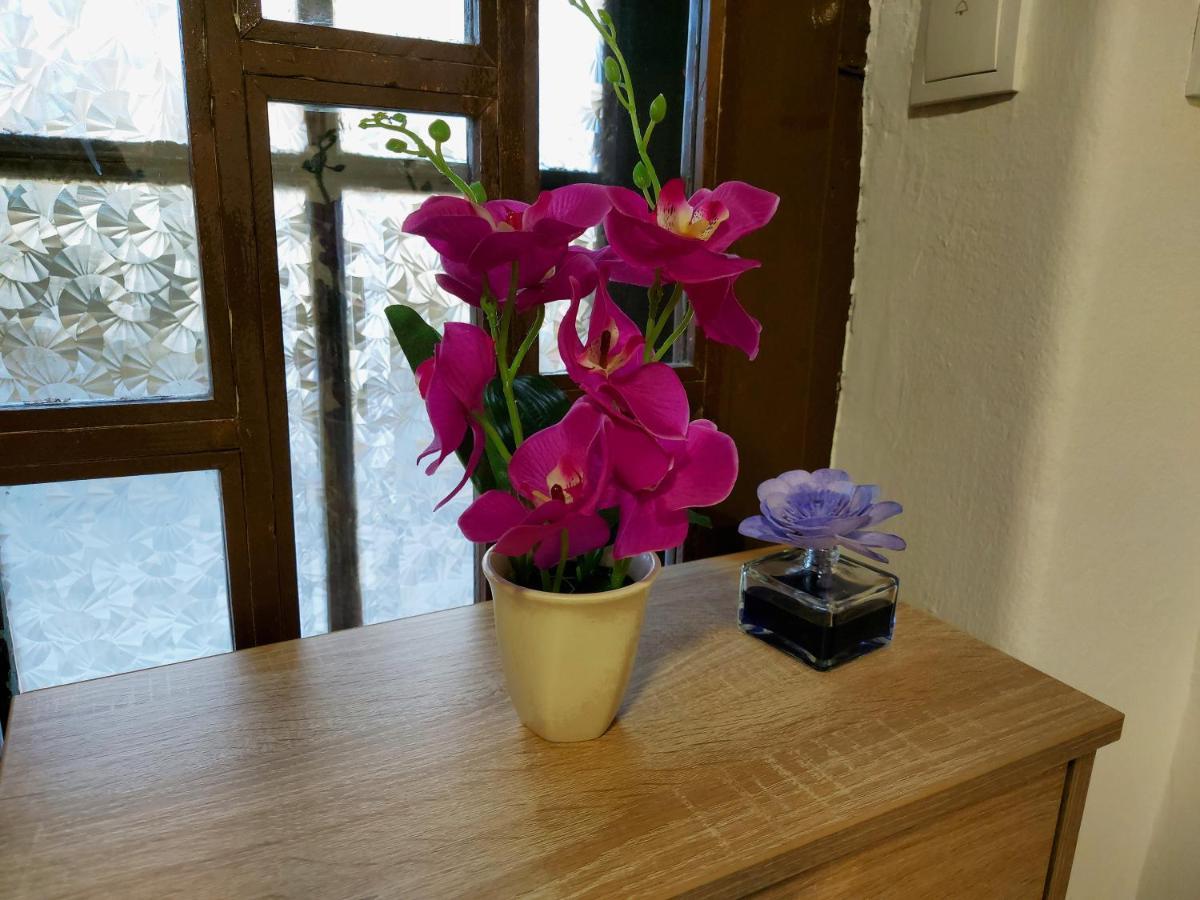 Lovely, Neat And Quite Apartment Dalia, Private Parking ซาราเยโว ภายนอก รูปภาพ